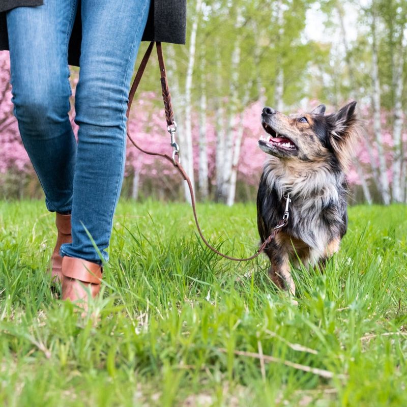 Create A Consistent Walking Routine