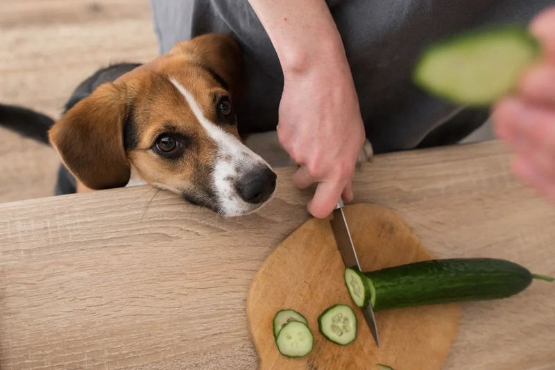 Cucumbers