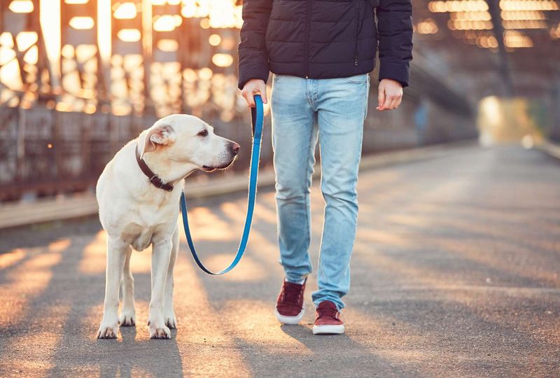 Daily Gentle Walks