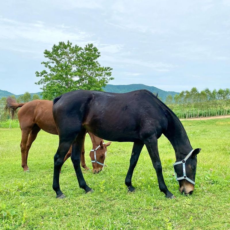 Unique Feeding Habits