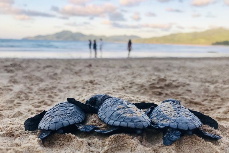 Get Involved In Beach Cleanups