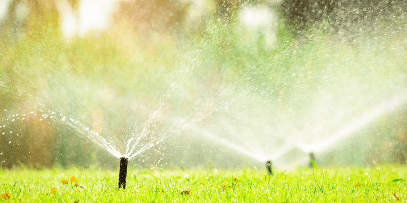 Employ Motion-Activated Sprinklers