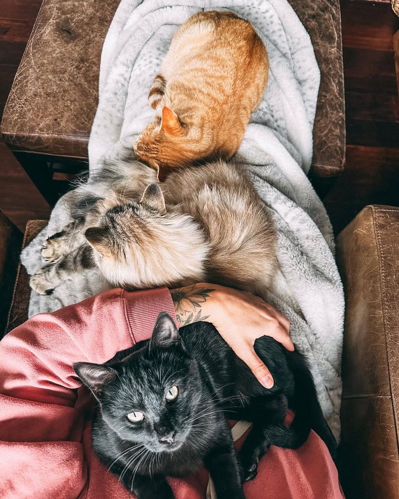Engage In Gentle Cuddles