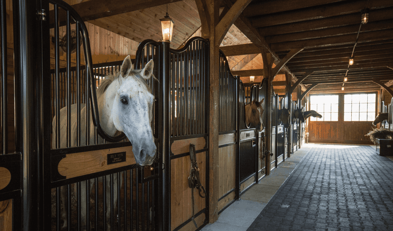 Safe And Comfortable Stall Environment