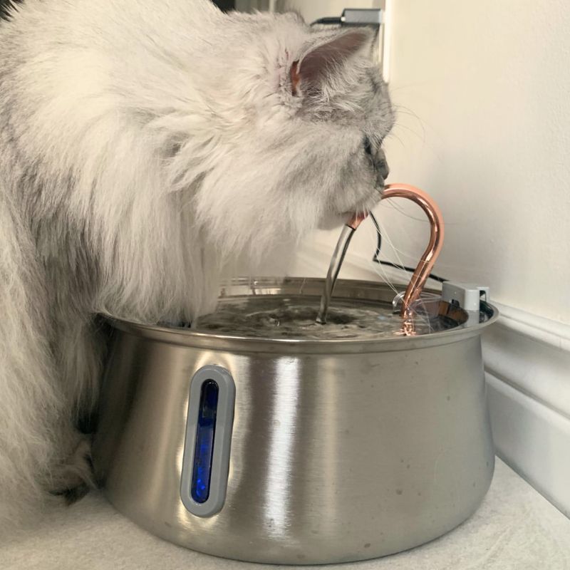Ensure Proper Hydration