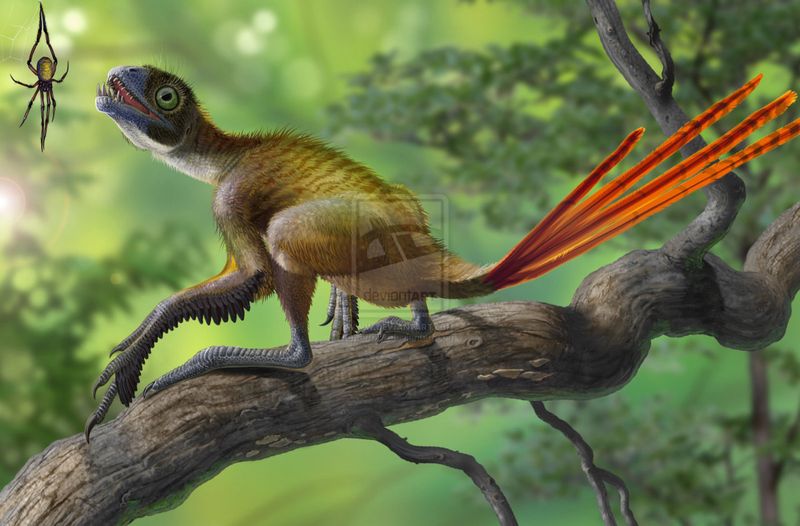 Epidexipteryx