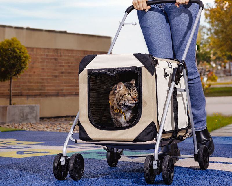 Pet Strollers