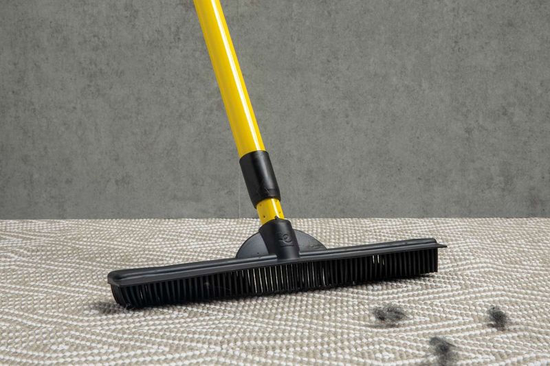 Pet Hair Broom