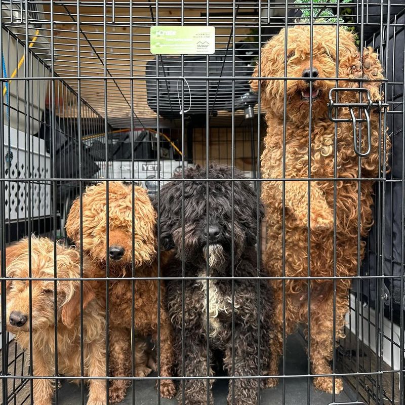 Fighting Puppy Mills