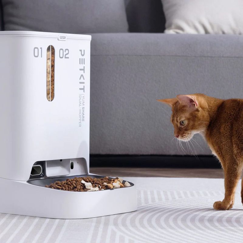 Food-Dispensing Toys