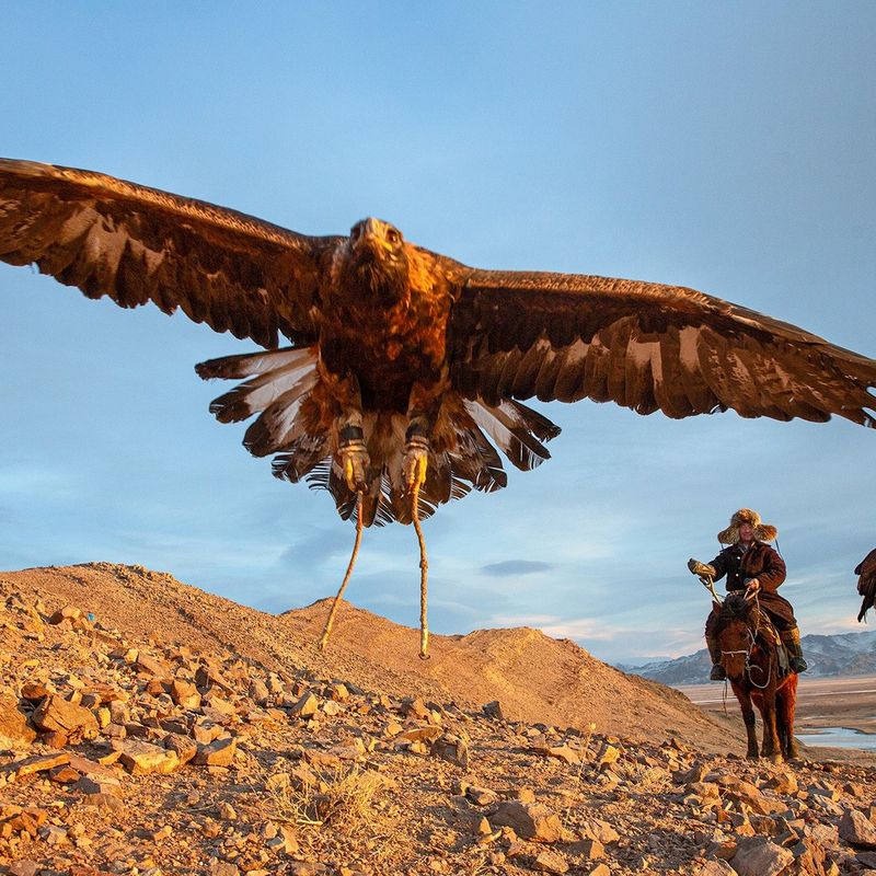 Hunting Skills And Vision