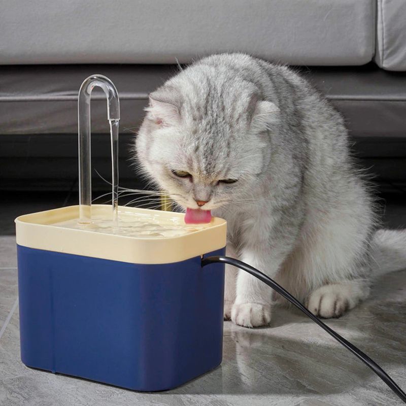 Cat Water Fountain