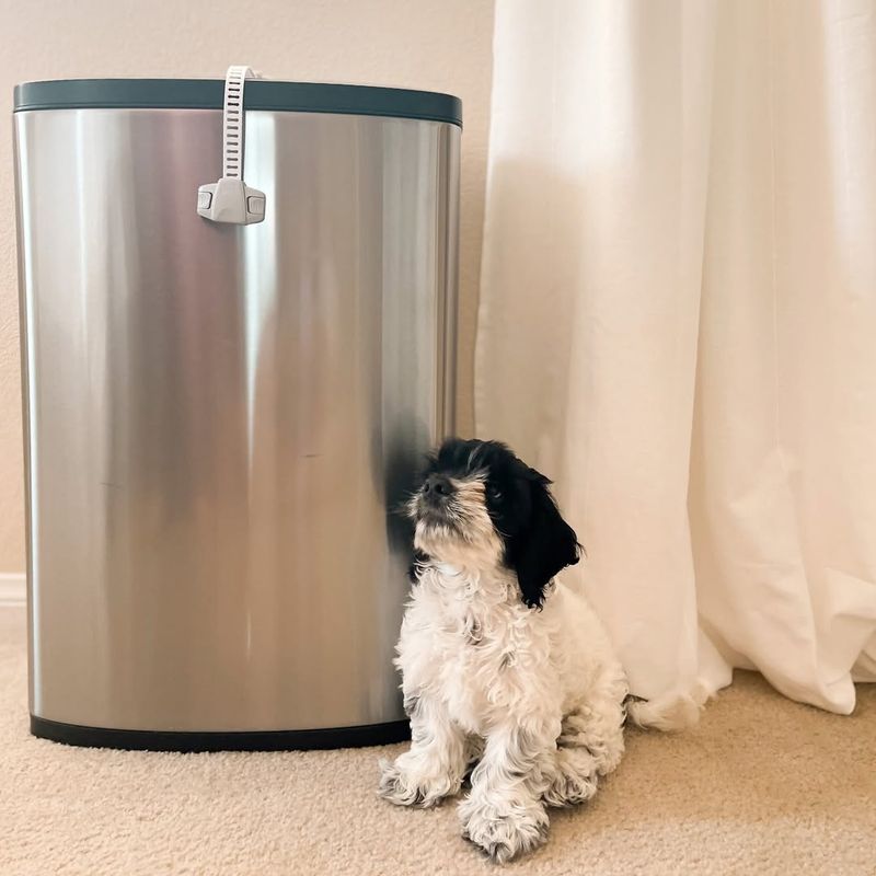 Install Pet-Proof Trash Cans