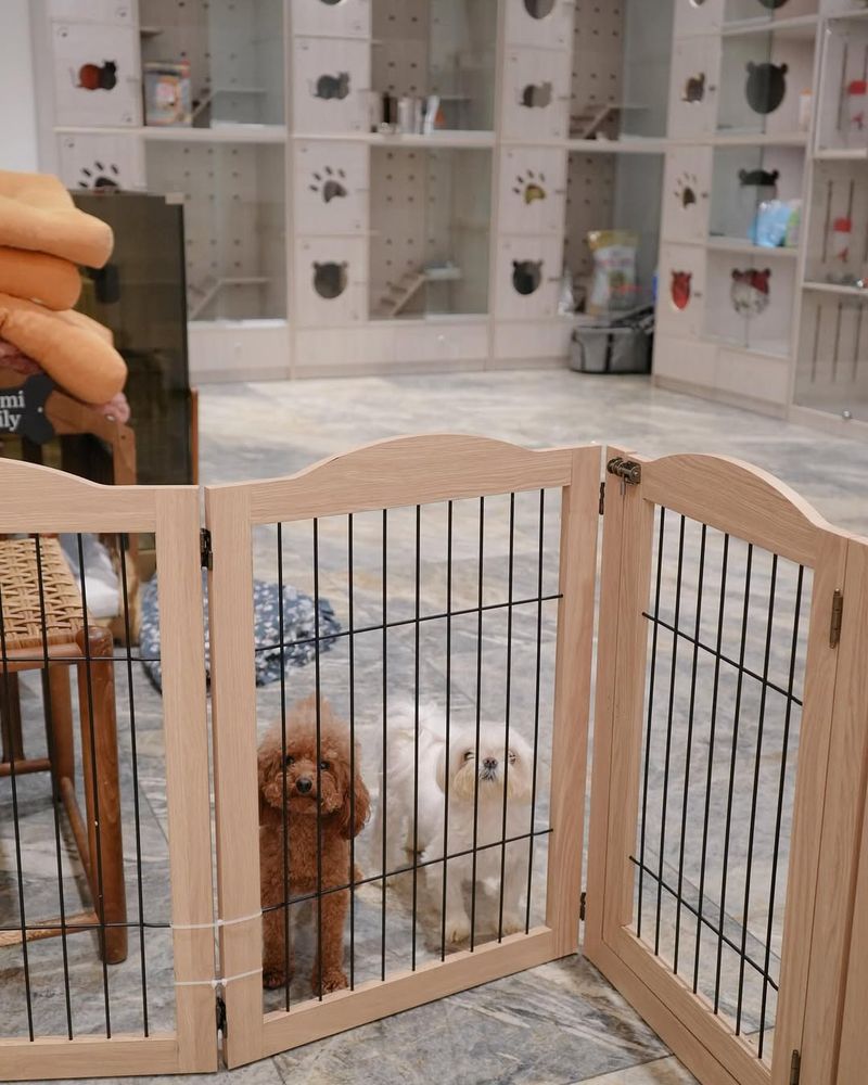 Install Secure Fencing