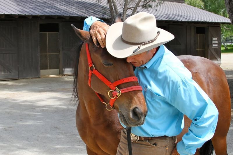 Intuitive Bond With Humans