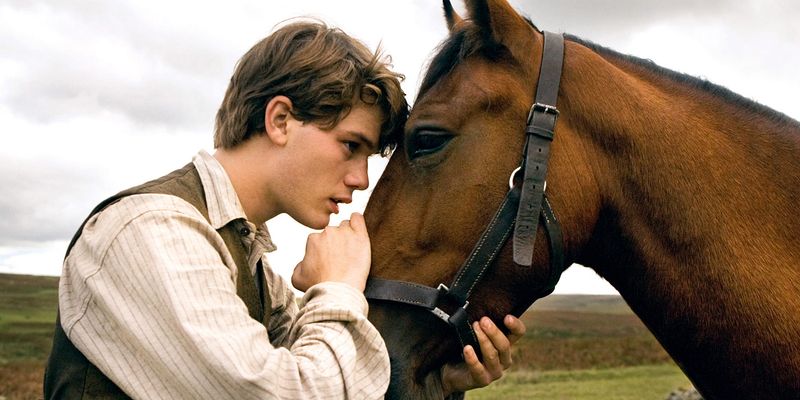 Joey – War Horse