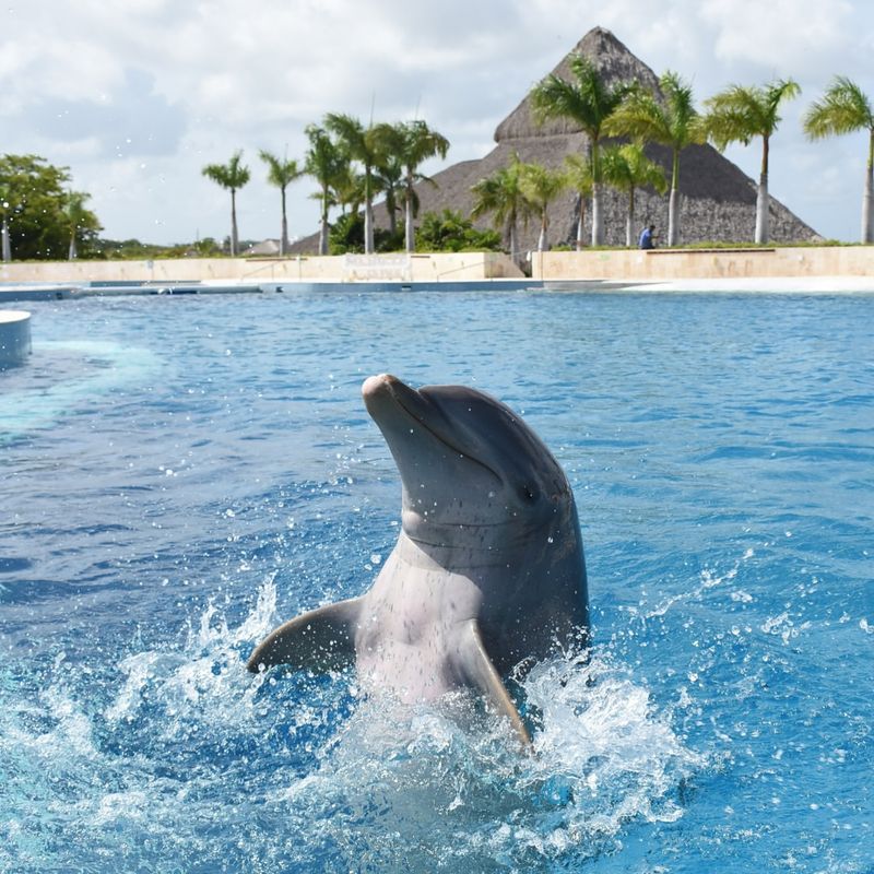 Punta Cana, Dominican Republic