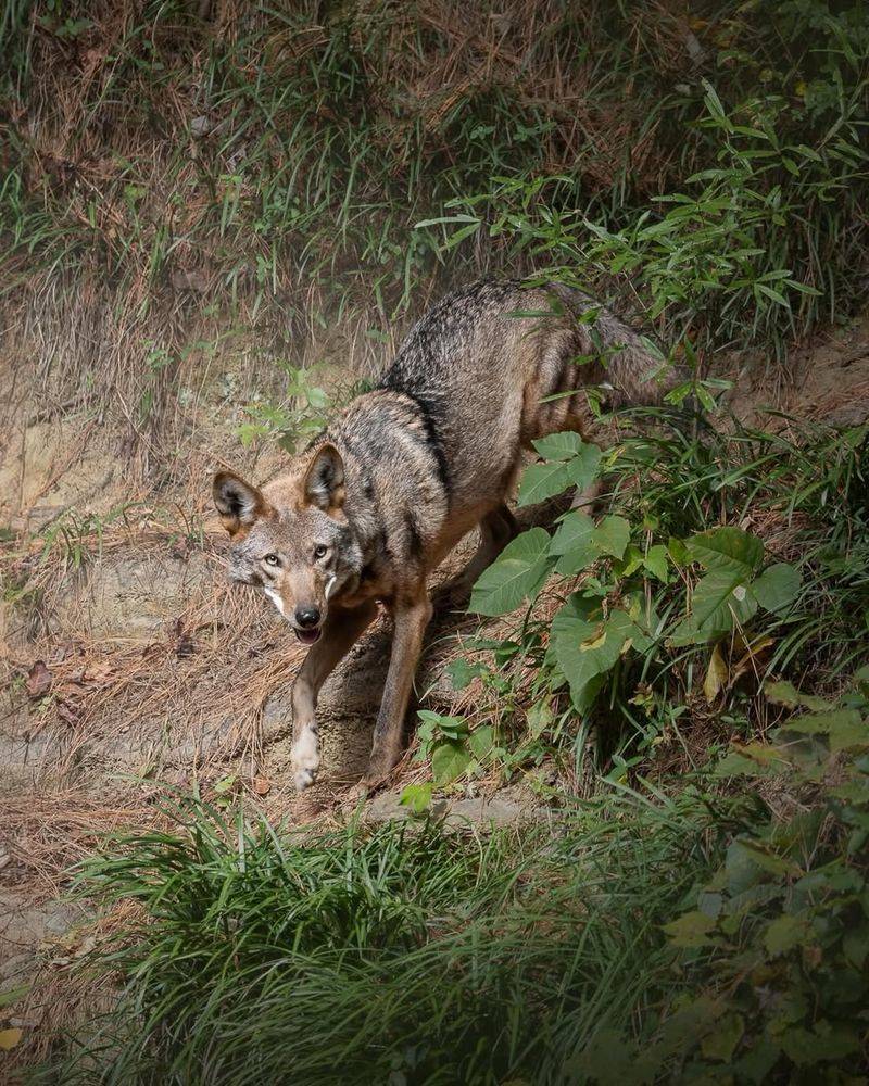 Kruger National Park, South Africa