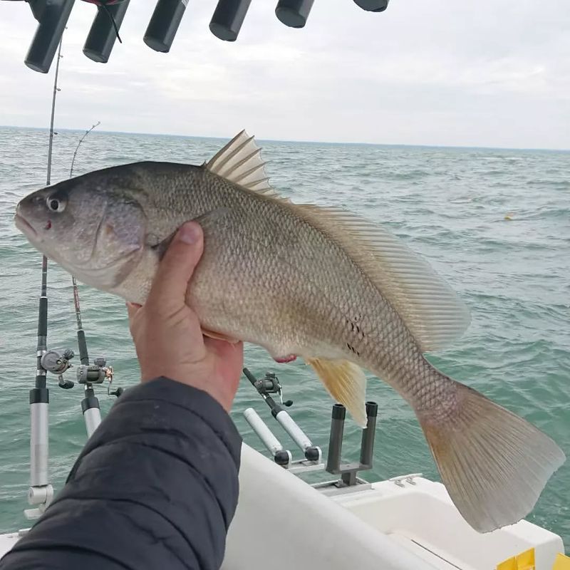 Lake Erie, Ohio