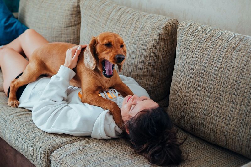 Yawning In Front Of You