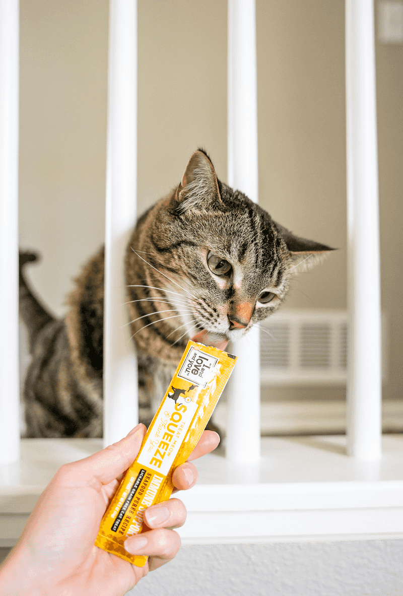 High-Protein Cat Treats