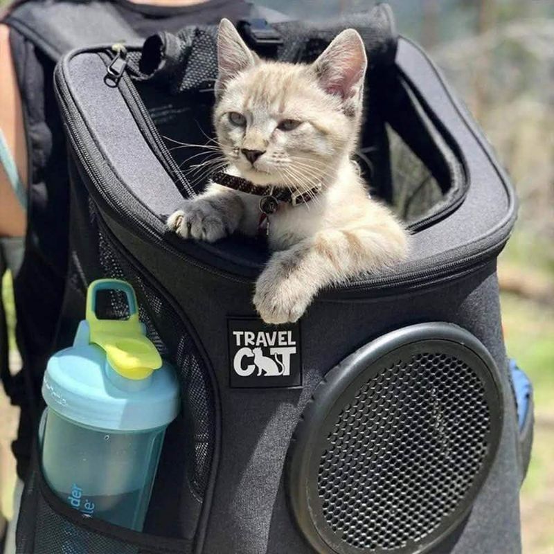 Cat Backpack Carrier