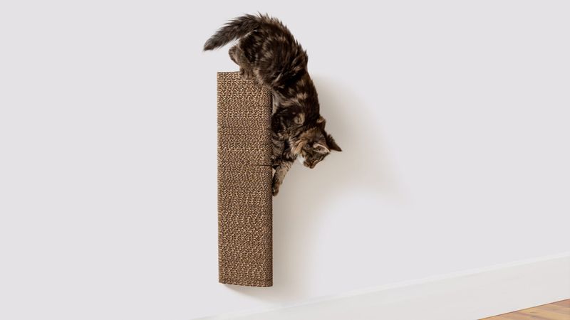 Install A Scratching Post