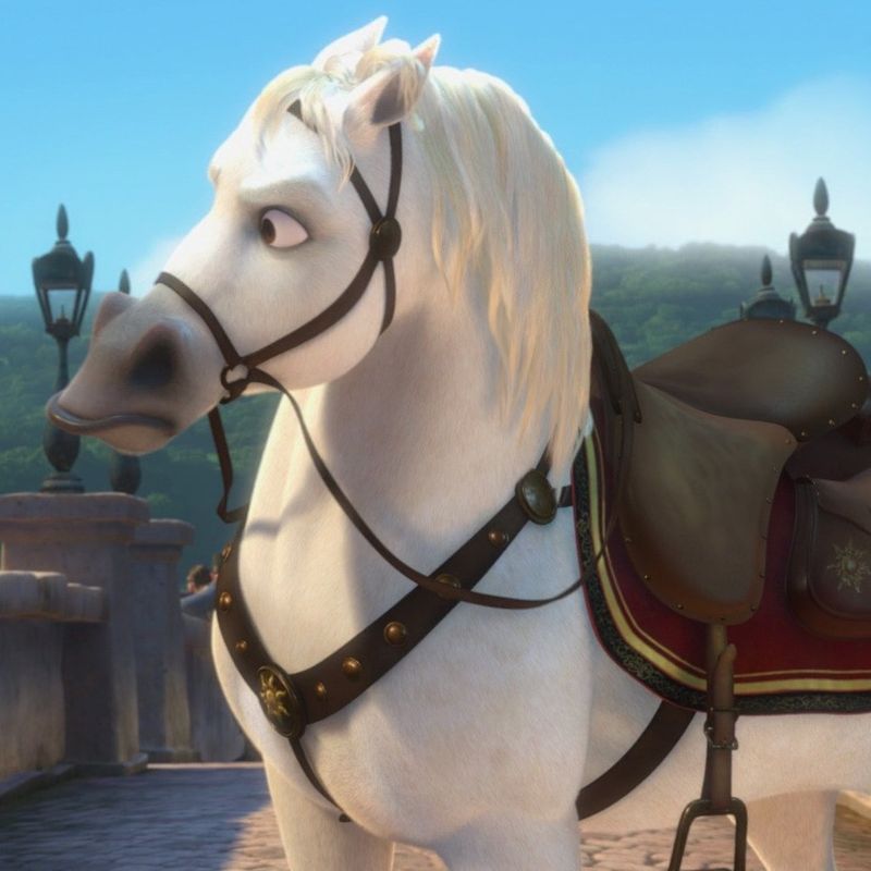 Maximus – Tangled