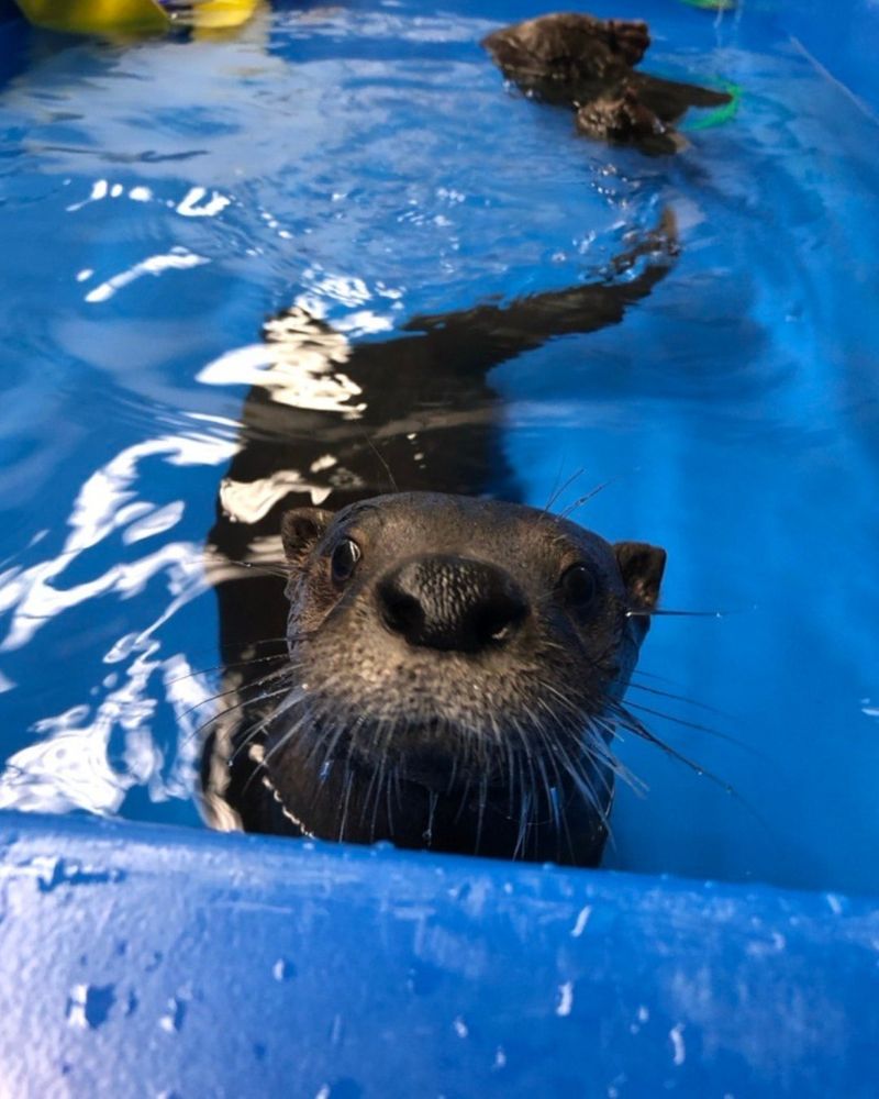 Texas State Aquarium