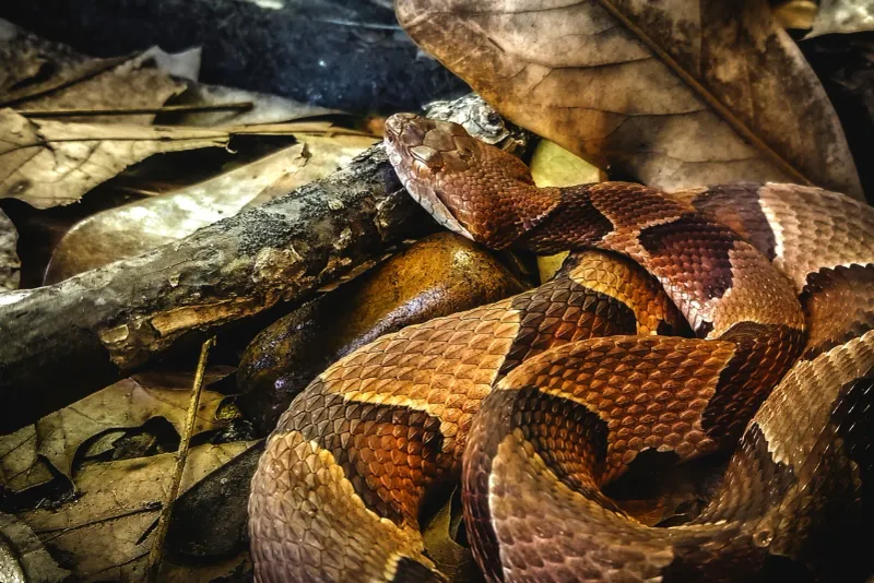 Oklahoma