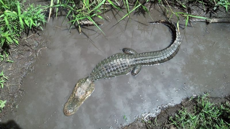 Pennsylvania