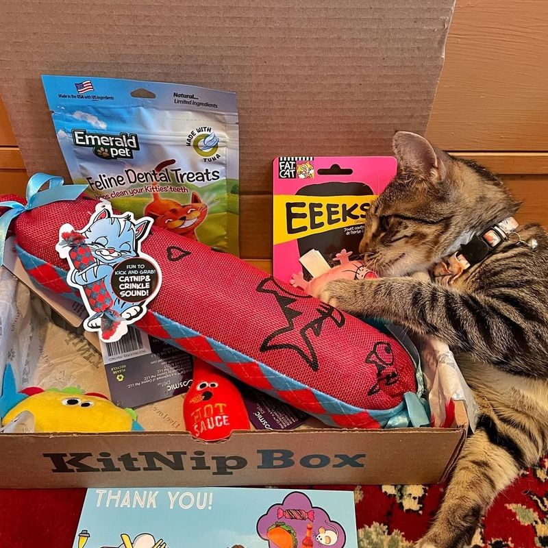 Pet Subscription Boxes
