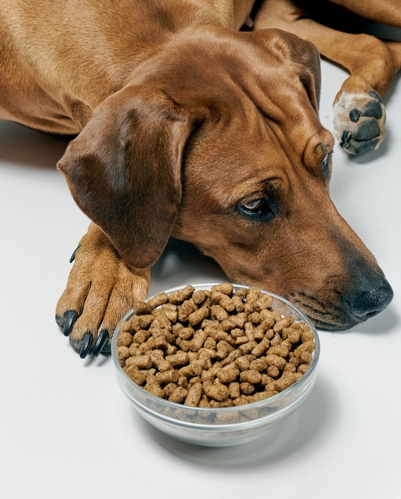 Picky Eating Habits