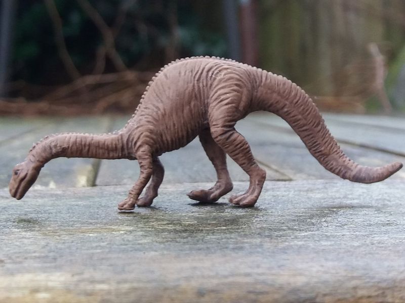 Platyosaurus