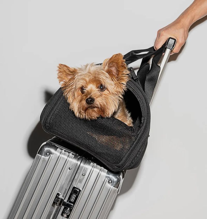 Pro: Easy Traveling Companions
