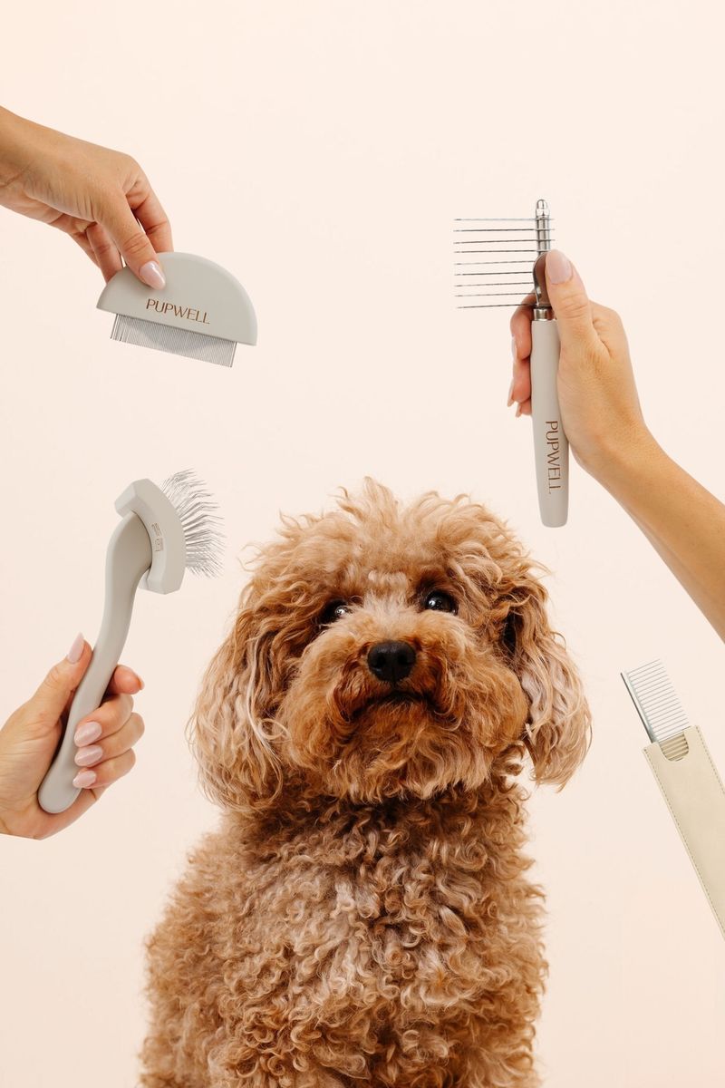Pro: Low Maintenance Grooming