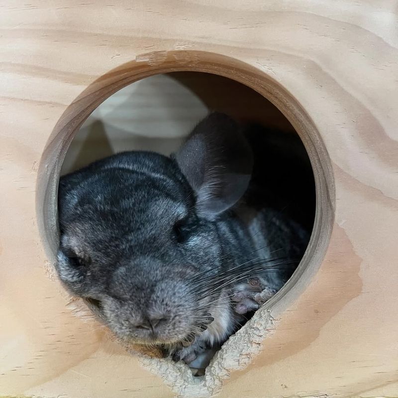 Provide A Hiding Spot