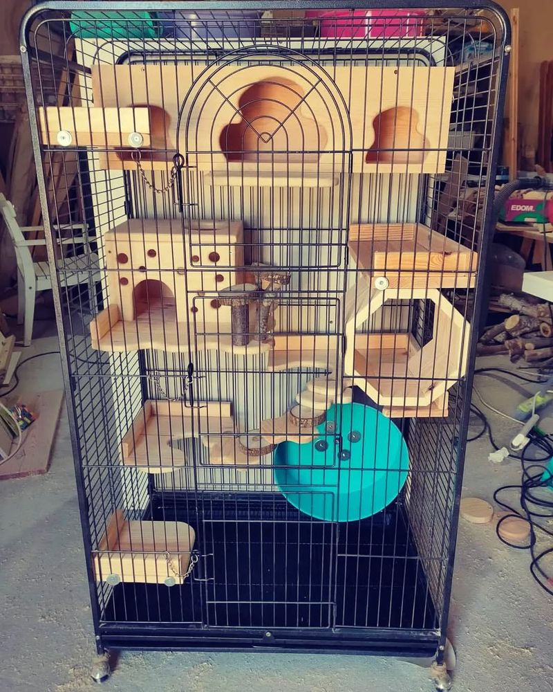 Provide A Spacious Cage