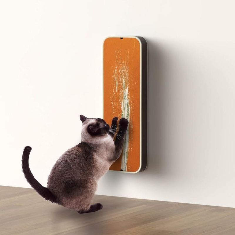 Provide Scratching Posts