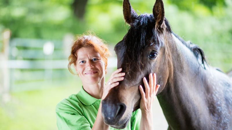 Regular Veterinary Check-Ups