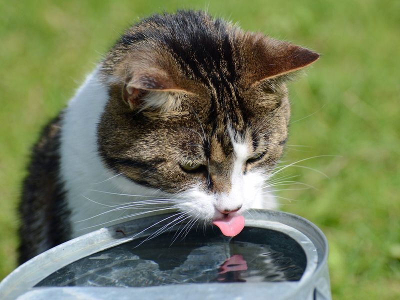 Routine Hydration Schedule