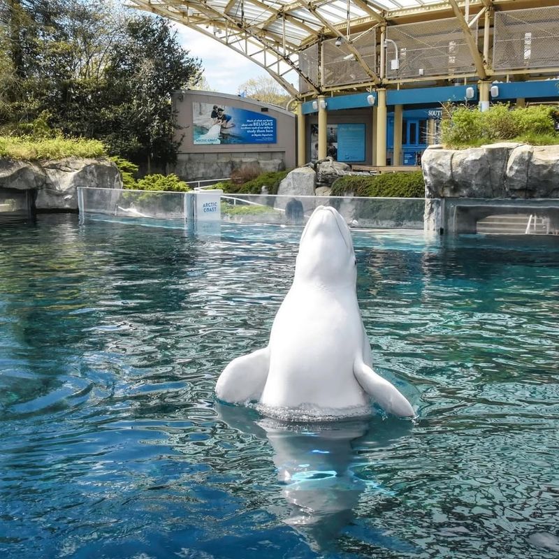 Mystic Aquarium