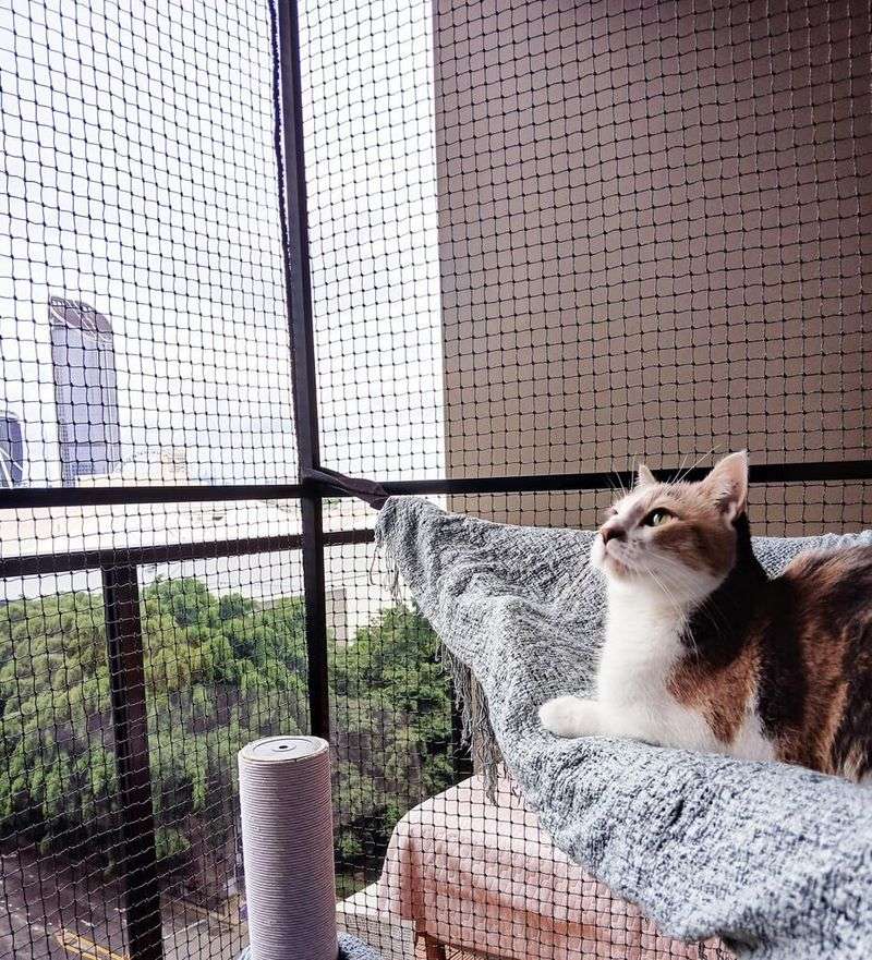 Secure Windows And Balconies