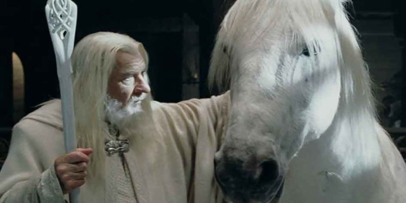 Shadowfax – The Lord Of The Rings