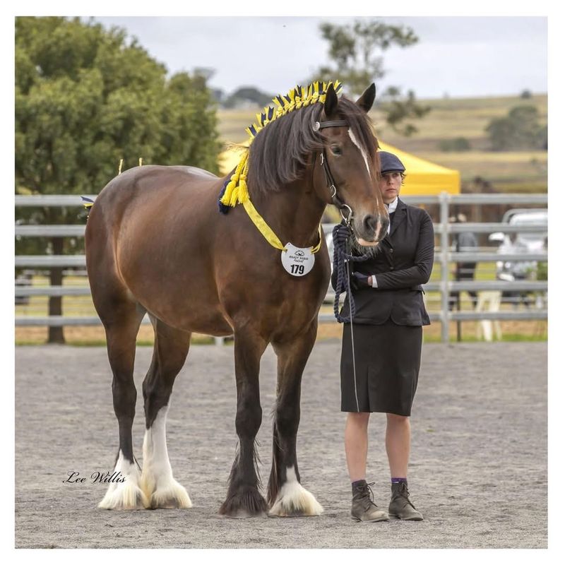 Shire ($10,000 – $30,000)
