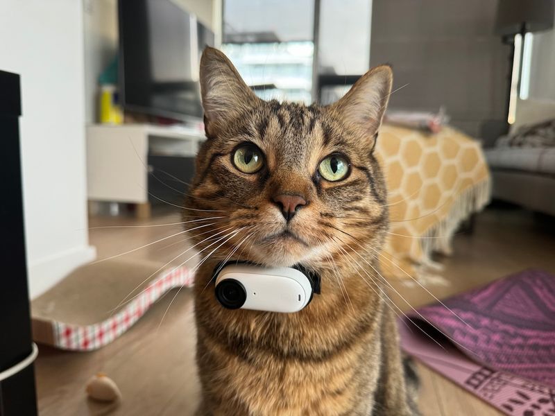 Pet Camera With Two-Way Audio