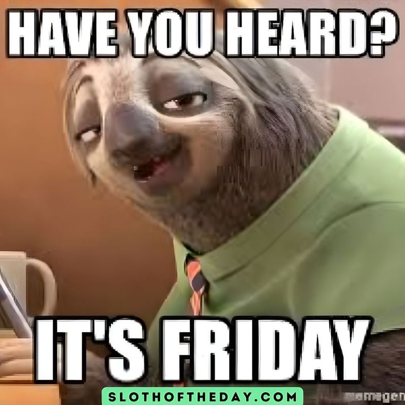 Sloths In Popular Media