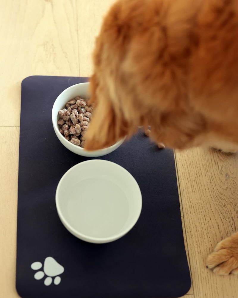 Spoiled Food