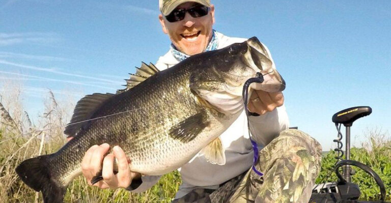 The Best States For Bass Fishing In America