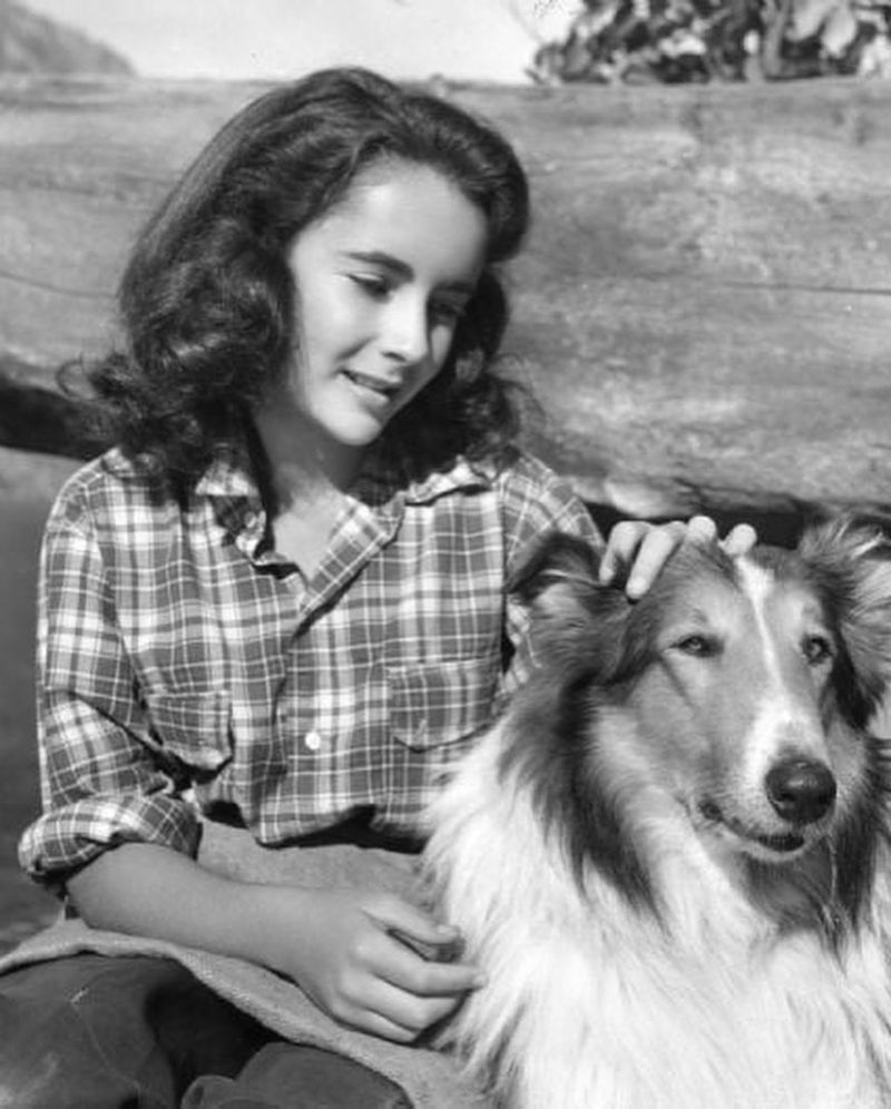 Lassie Come Home (1943)